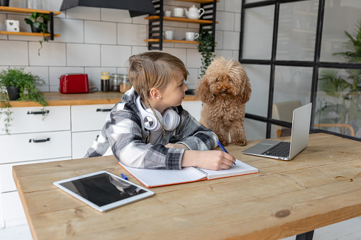 Boys And Dog Homemaking Homeschooling Tips For Busy Folks