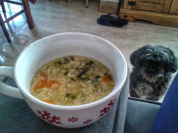 Can Dogs Have Vegetable Broth?