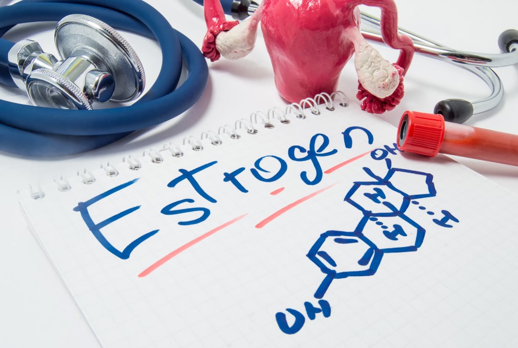 estrogen levels in men