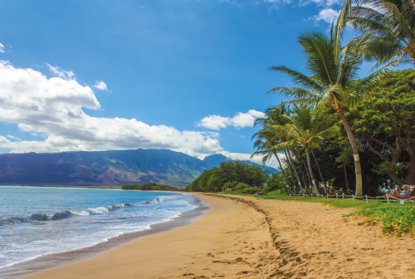 plan a trip to Hawaii