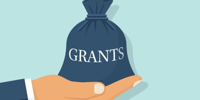 Government Grant